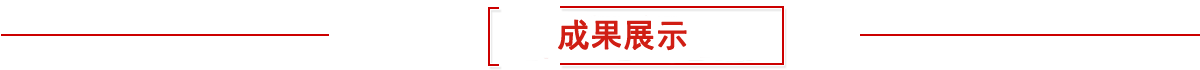 成果展示